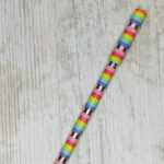 pen regenboog