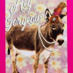 Ansichtkaart hé schoonheid