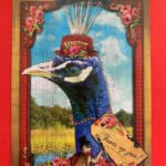 Ansichtkaart Trots op jou!