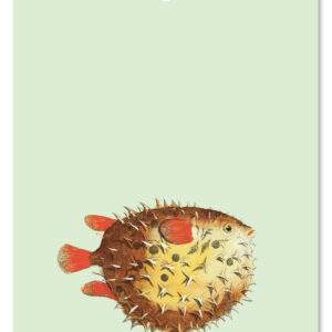 Cadeaulabel Egelvis