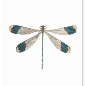 Cadeaulabel Libelle