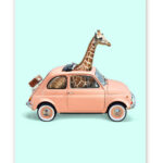 Ansichtkaart Giraffe in auto