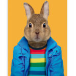 Ansichtkaart Broer konijn