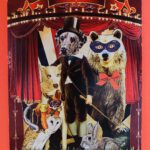 Ansichtkaart welgeeerd publiek