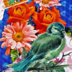 Ansichtkaart Holland vogel