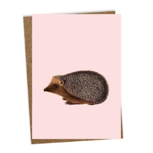 Ansichtkaart Egel