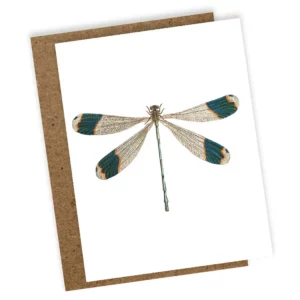Wenskaart Libelle
