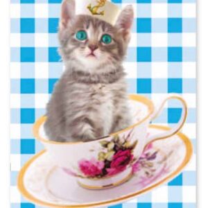 Ansichtkaart Kitten ahoy
