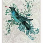 Ansichtkaart Kolibri