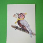 Ansichtkaart Lokkedue vogel Tschiep met takje in snavel