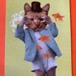 Ansichtkaart krazy kittens goudvissen