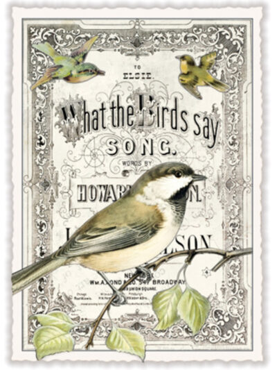 what the birds say
