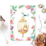 vrije vogels vogelkooi