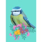 pimpelmees met bloemen