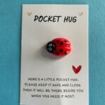 Pocket Hug Lieveheersbeestje