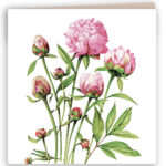 Vierkante kaart Pioenroos