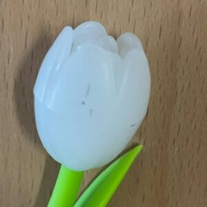 Tulp pen