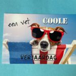 Ansichtkaart een vet Coole Verjaardag