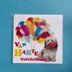 Wenskaart Van Harte Gefeliciteerd Ballonnen