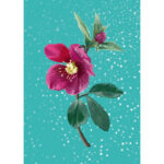 kerstkaart met kerstroos