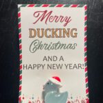 Kerst Pocket Hug kaart met Eend lichtblauw