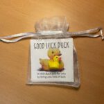 Pocket Hug Good Luck Duck