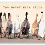 Ansichtkaart You never Walk Alone