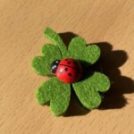 Decoratie plakker lieveheersbeest