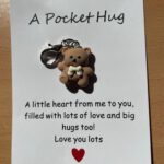 Pocket Hug Bruin Beertje