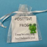 Pocket Hug Positive Frog