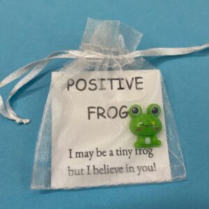 Pocket Hug Positive Frog