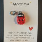 Pocket Hug Lieveheersbeest sleutelhanger