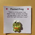 Pocket Hug Happy Frog