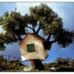 Ansichtkaart Boomhut