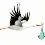 Ansichtkaart Geboorte Jongen