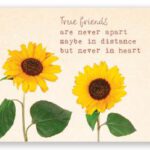 Ansichtkaart True Friends