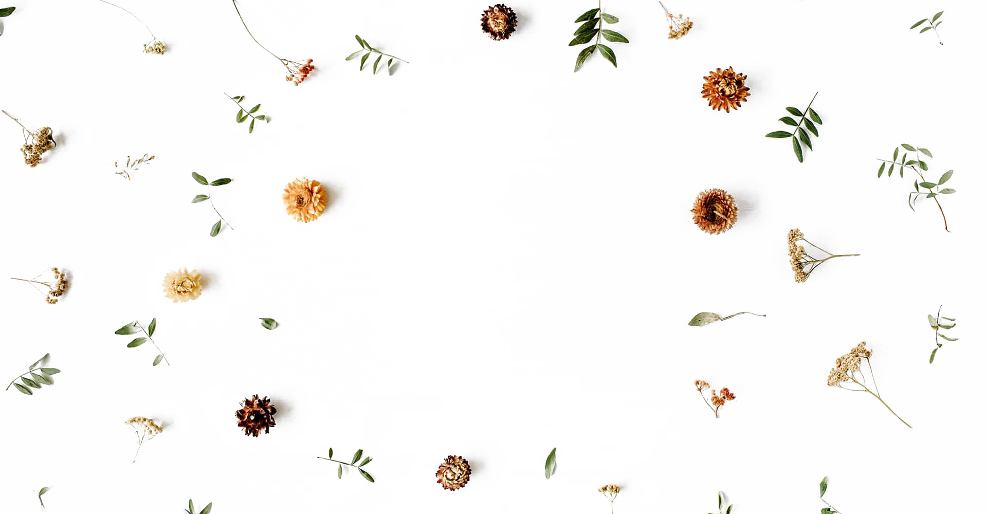 Meer dan een lintje backdrop