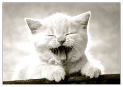 Ansichtkaart Smile