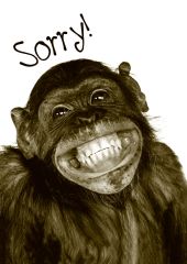 Ansichtkaart Sorry