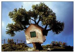 Ansichtkaart Boomhut